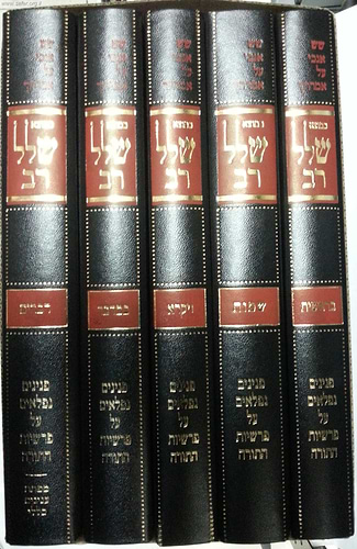 כמוצא שלל רב - על התורה ה' כרכים