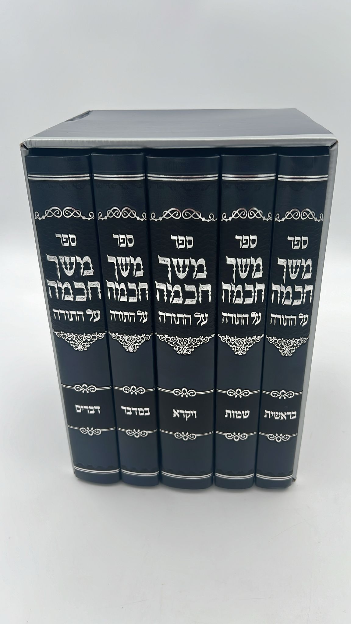 משך חכמה על התורה ה