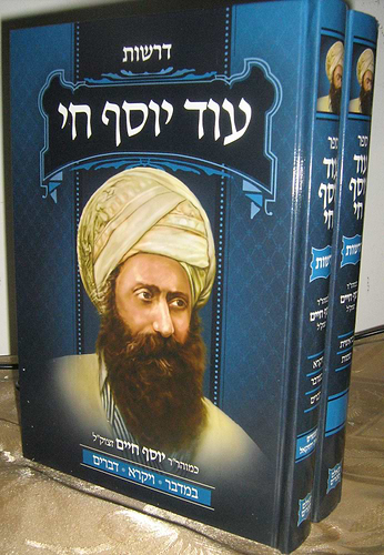 עוד יוסף חי - דרשות על התורה ב' כרכים