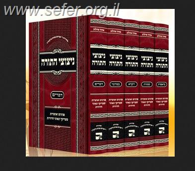 ניצוצי תורה ה