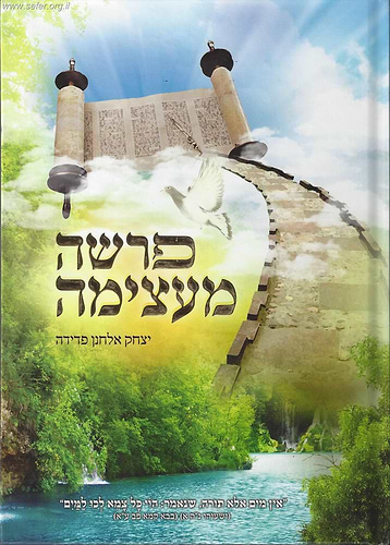 פרשה מעצימה / יצחק אלחנן פדידה