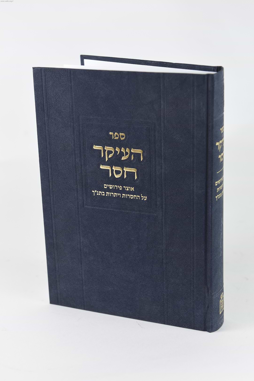 ספר העיקר חסר - על החסרות והיתרות בתנ”ך
