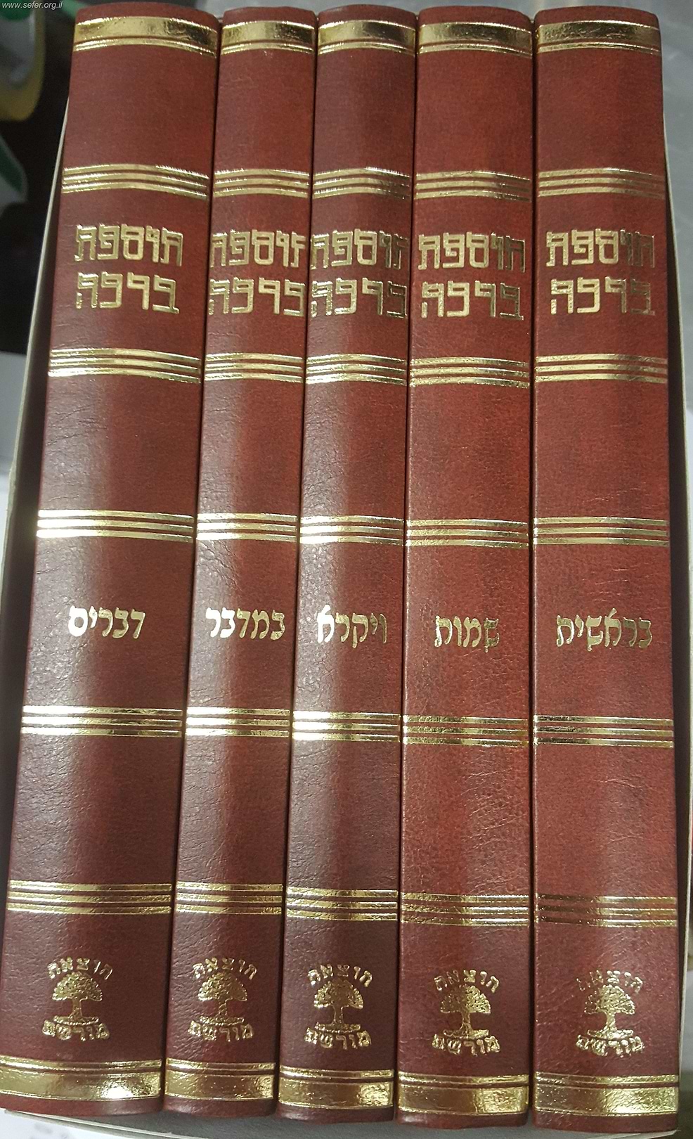 תוספת ברכה על התורה ה