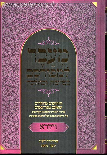 מעבר למפורסם - ויקרא