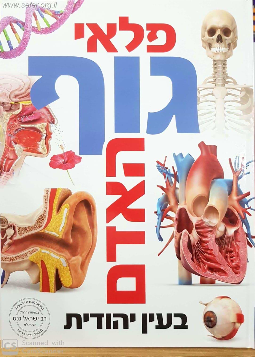 פלאי גוף האדם בעין יהודית