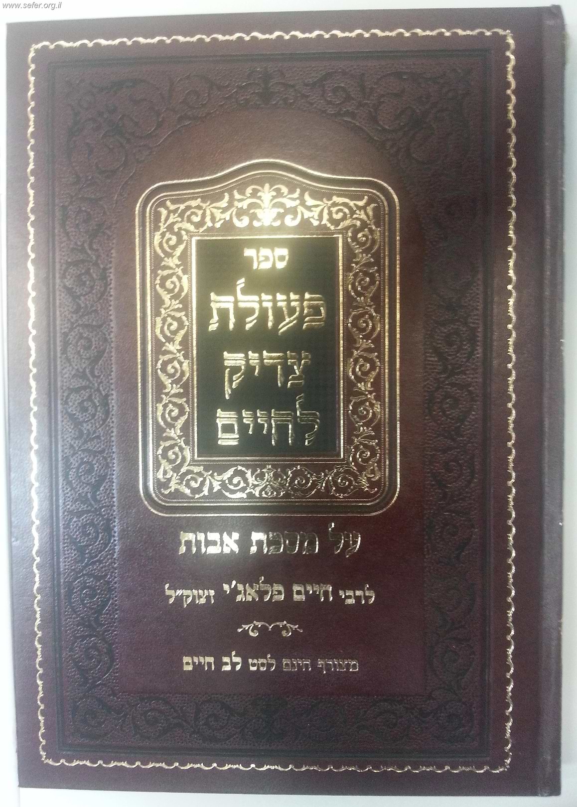 פעולת צדיק לחיים / ר