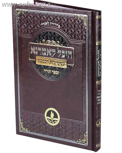 היכל קאמרנא – ענייני בית הכנסת