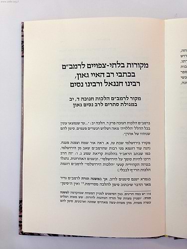 ספר שוד מלכים - עיונים בספר משנה תורה לרמב