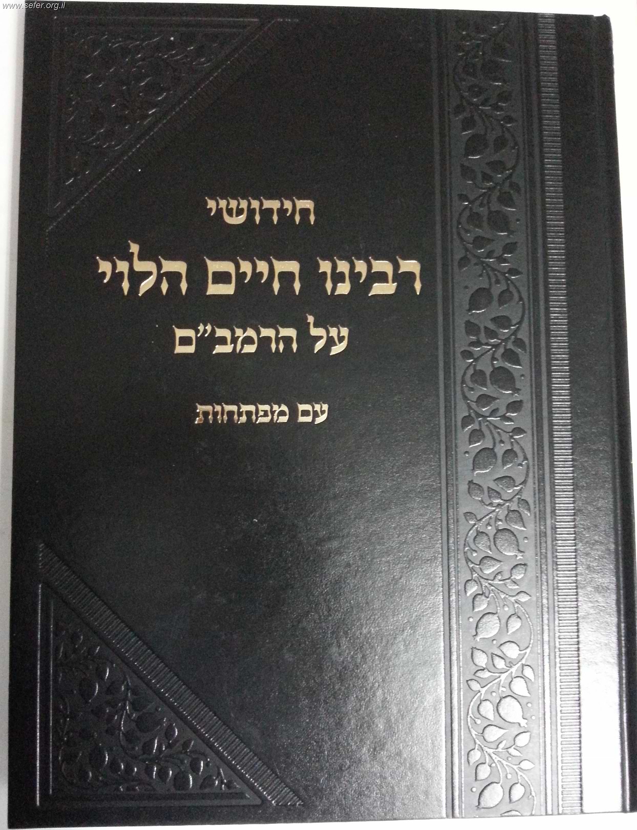 חידושי רבינו חיים הלוי על הרמב