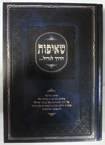 שאיפות - הדרך לגדול