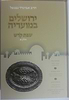 ירושלים במועדיה - שבת קודש א' / הרב אביגדור נבנצל