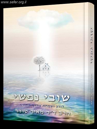שובי נפשי - רוגע ושמחה על פי התורה / הרב ד