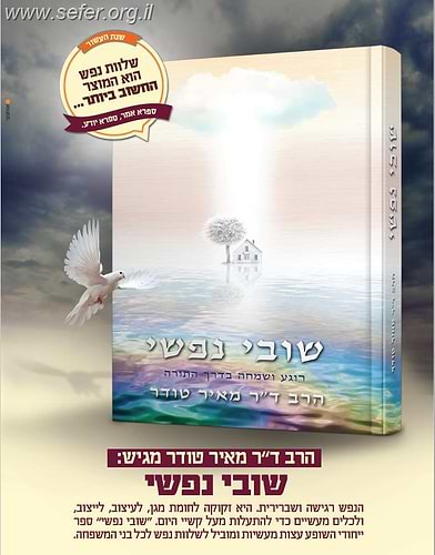 שובי נפשי - רוגע ושמחה על פי התורה / הרב ד