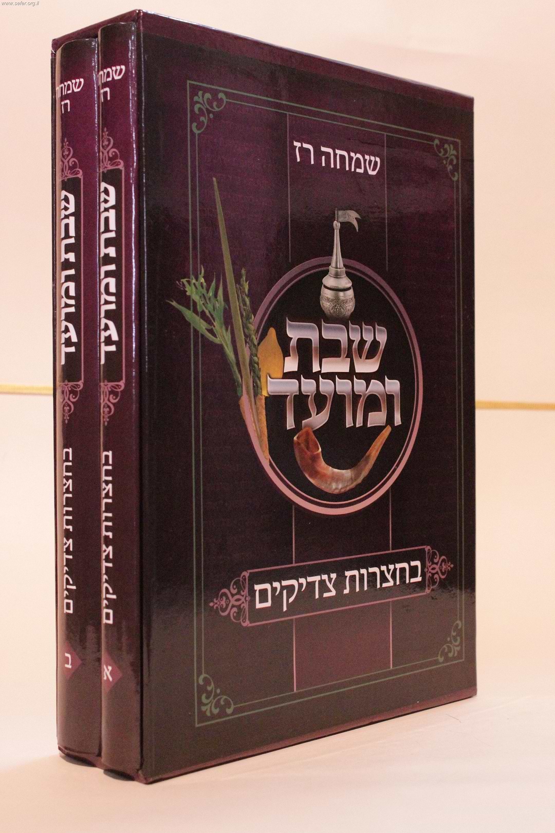 שבת ומועד - בחצרות צדיקים ב