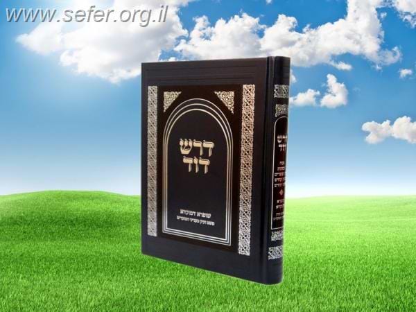 דרש דוד - מועדים חלק שני