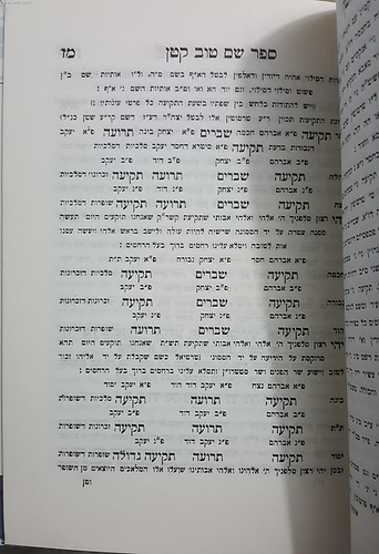 שם טוב קטן - תיקוני תפילות נוראות, סגולות ורפואות / ר' בנימין בינש הכהן