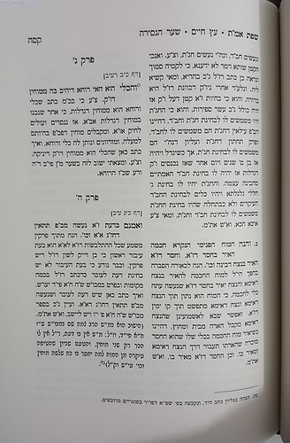שפת אמ