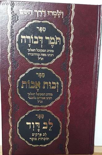 תומר דבורה - זכות אבות - לב דוד בכרך אחד