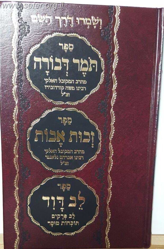תומר דבורה - זכות אבות - לב דוד בכרך אחד