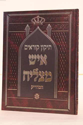 תיקון קוראים איש מצליח גדול המדוייק