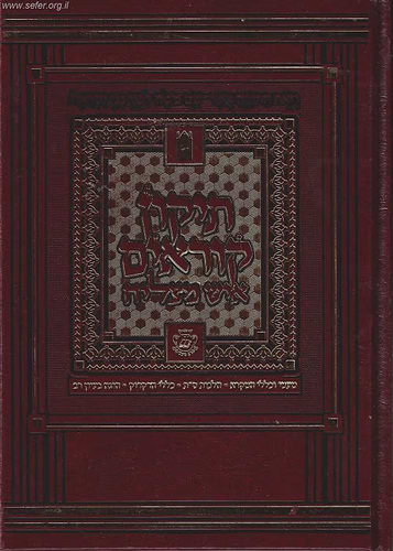 תיקון קוראים איש מצליח קטן