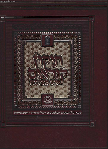 תיקון קוראים המדוייק איש מצליח פורמט ענק