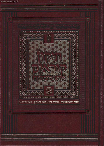 תיקון קוראים איש מצליח מוקטן