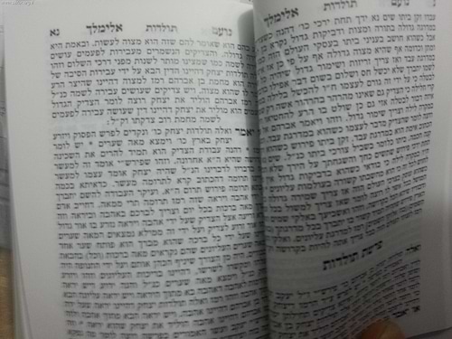 נועם אלימלך כיס בניילון