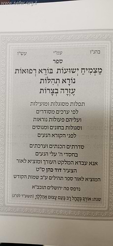 מצמיח ישועות - לקט תפילות וסגולות / הרב דוד כהן שליט
