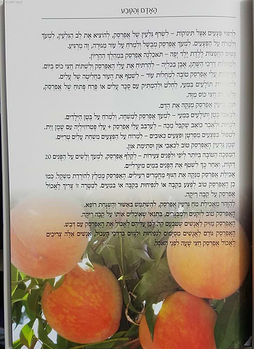 האדם והטבע - ספר רפואה טבעית וצמחי מרפא