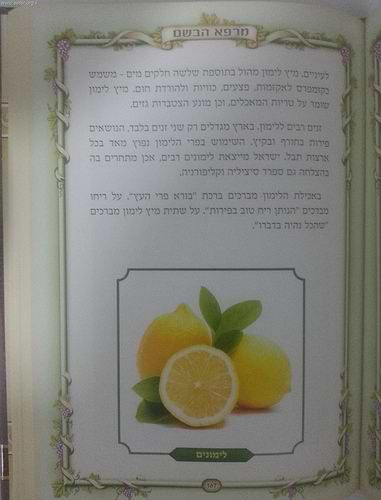 מרפא הבושם / ע