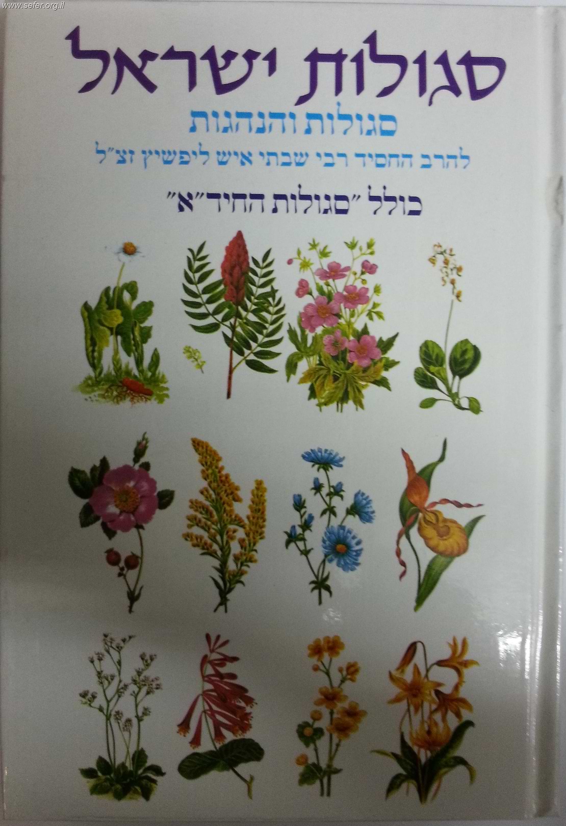 סגולות ישראל/ ר
