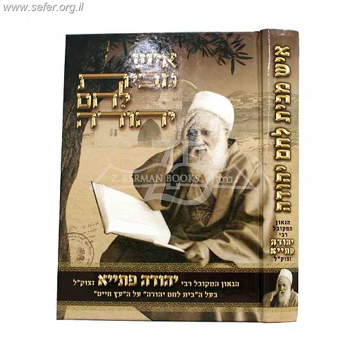 איש מבית לחם יהודה / תולדותיו וקורות חייו של רבי יהודה פתיה