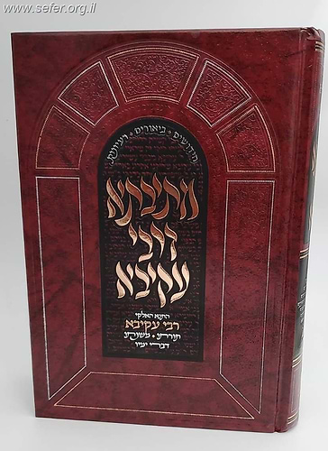 מתיבתא דרבי עקיבא - חידושים, ביאורים ורעיונות