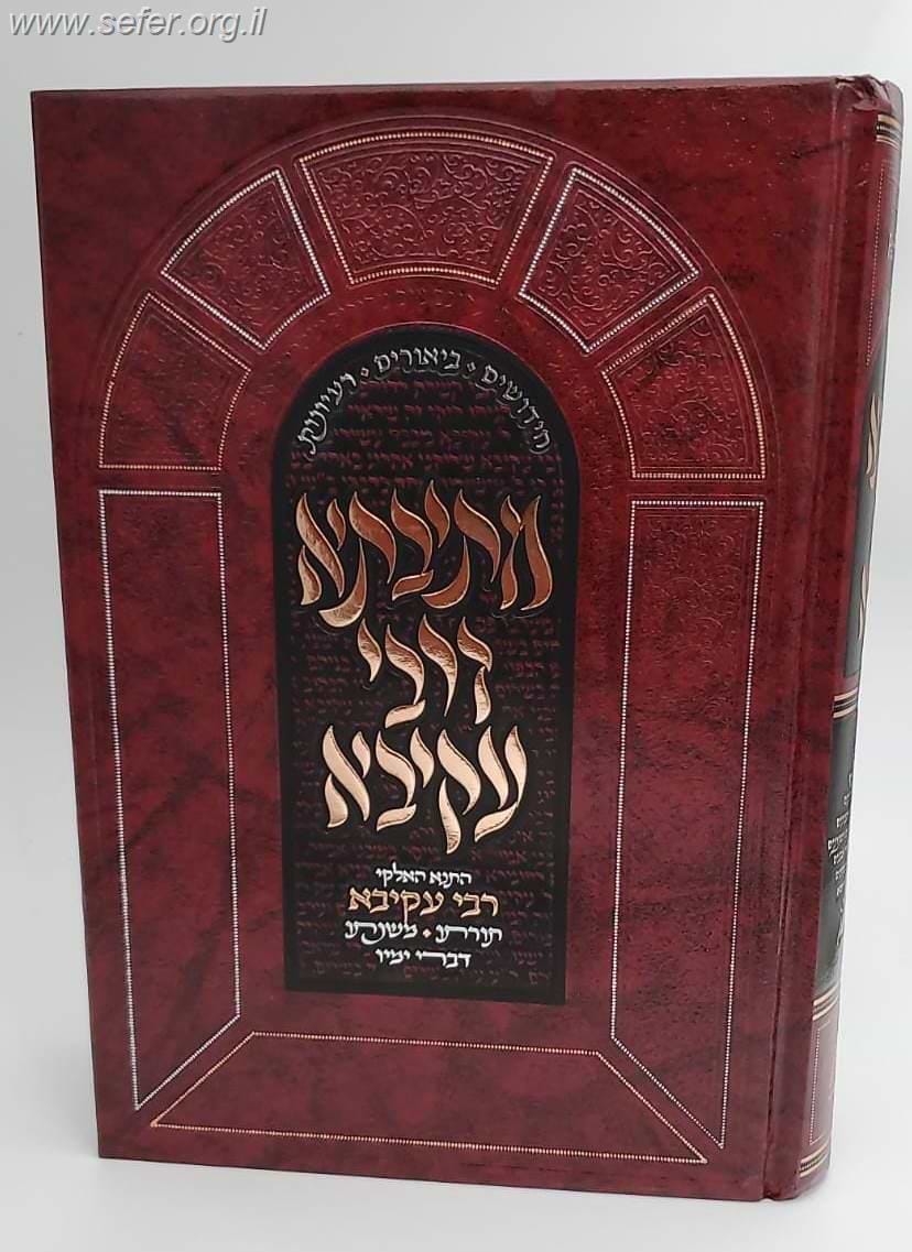 מתיבתא דרבי עקיבא - חידושים, ביאורים ורעיונות
