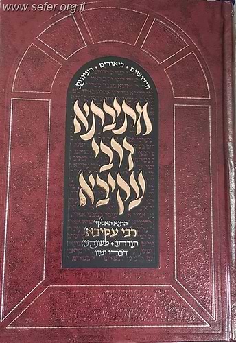 מתיבתא דרבי עקיבא - חידושים, ביאורים ורעיונות