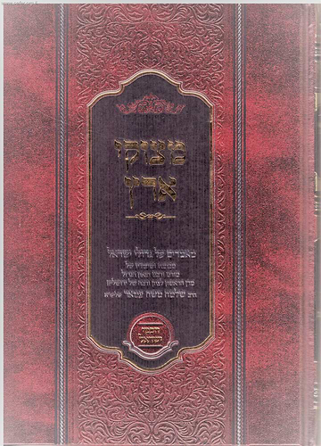 מצוקי ארץ - מאמרים על גדולי ישראל / הגאון רבי שלמה משה עמאר שליט