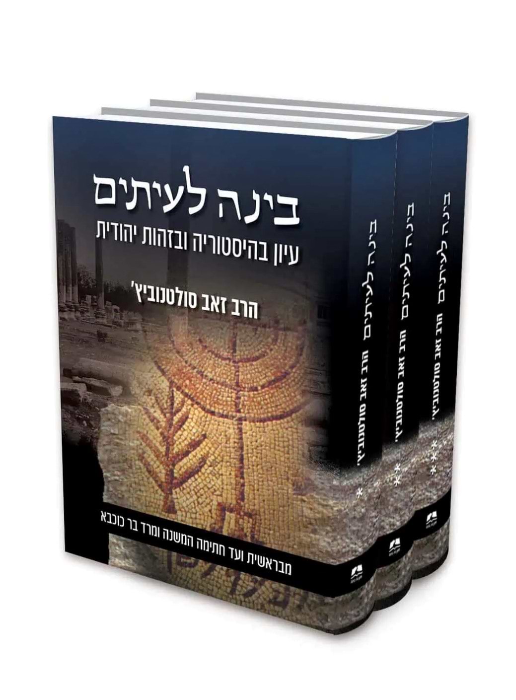 בינה לעיתים ג
