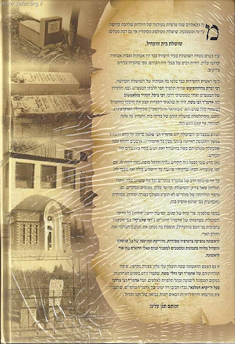 יסודי עולם - האדמו