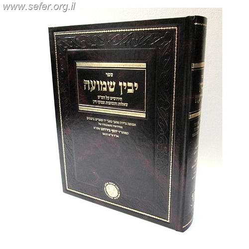 יבין שמועה - חידושים על הש