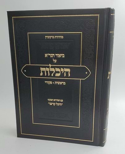 ביאור הגר