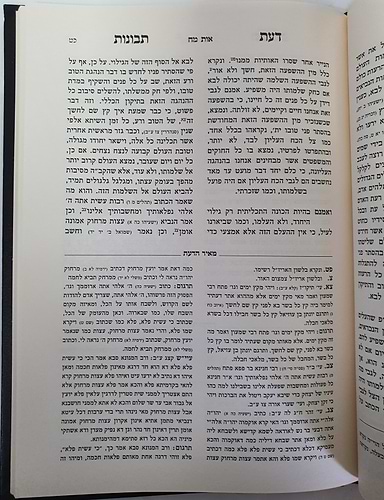 דעת תבונות - עם ליקוט מקורות מאיר הדעת / הרב יהושע ליפשיץ
