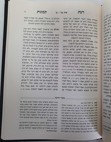דעת תבונות - עם ליקוט מקורות מאיר הדעת / הרב יהושע ליפשיץ