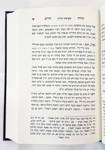תורה וחיים / רבינו חיים פאלאג'י זיע