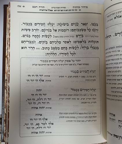 סידור תורת חכם לשבת קודש ד' כרכים / מכון ים החכמה
