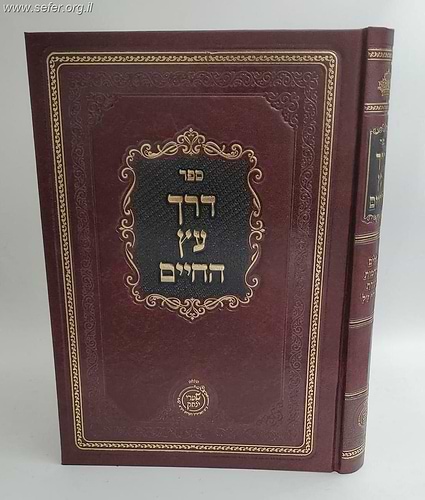 דרך עץ החיים - כללים והקדמות יסודות ושיטת דרכי הלימוד בתורת האר