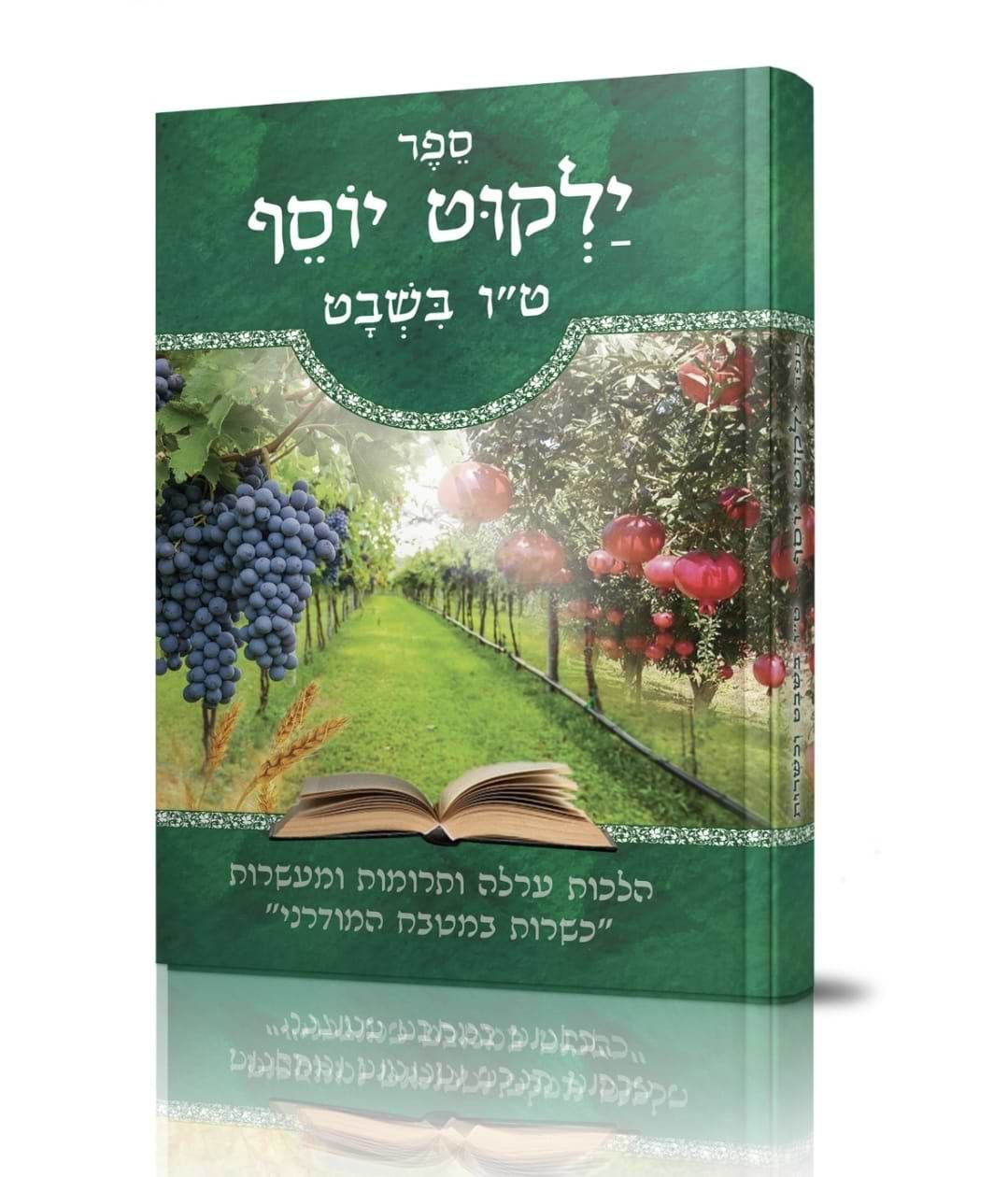 ילקוט יוסף מנוקד - טו