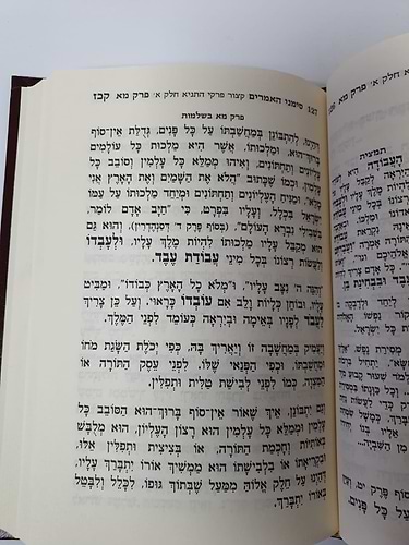 סימני האמרים - סימנים, קיצורים ותמציות - לספר ליקוטי אמרים תניא / שי למורא
