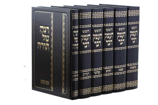 חומש העמק דבר ו