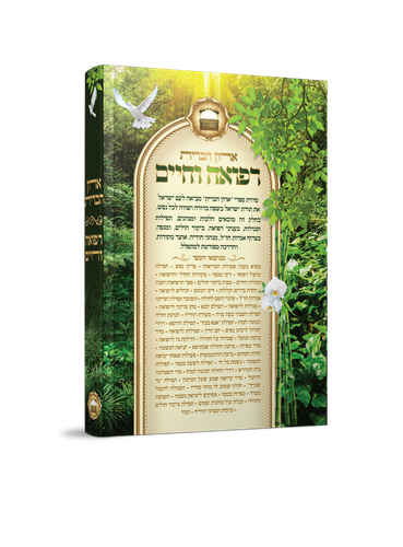 ארון הברית רפואה וחיים 2